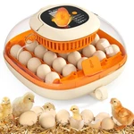 Egg Incubator Automatic 25 Chickcozy 360 View Thermometer Humidity Control Seat. Fixed Price $162.52.