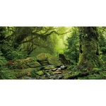 Awert 48X24 Inches Tropical Forest Terrarium Background Stream Green Huge Tre.... Fixed Price $17.21.