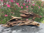Driftwood Aquariums Fish Reptiles Decoration Pet Supplies Art Garden Aquascaping. Fixed Price $114.26.