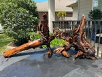 Driftwood Aquariums Fish Reptiles Decoration Pet Supplies Art Garden Aquascaping. Fixed Price $149.99.