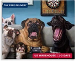 Stupell Industries Funny Dogs Playing Video Games Livingroom Pet Portrait, Desig. Fixed Price $42.01.
