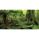 Awert 72X24 Inches Forest Terrarium Background Stone Green Huge Tree Reptile .... Fixed Price $16.50.