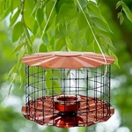 Erva Caged Bluebird Feeder, Copper Colored. Fixed Price $78.01.