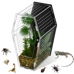 Acrylic Jumping Spider Habitat Versatile Reptile Enclosure Transparent Insect.... Fixed Price $31.44.