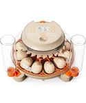 Innsky Incubators For Hatching EGGS,12 With Automatic Egg.... Fixed Price $28.98.