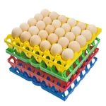 George Garden 8-PACK Plastic Egg Tray Four Colors, Multicolor. Fixed Price $34.52.