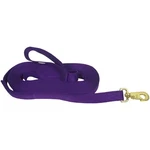 Hamilton Single Thick Nylon Horse Longe Line With Swivel Snap Chain 26. Fixed Price $41.99.
