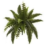 Nearly Natural 14-IN Boston Fern Artificial Plant (set Of 6). Fixed Price $76.79.