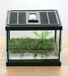 Crapelles Pac Frogs Glass Terrarium Feeding Kit Tank, Waterproof,for Small Amphi. Fixed Price $57.99.