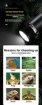 Nomoy Reptile Uvb Heat Lamp Full Spectrum Uva Basking Bulb For Turtle Lizard. Fixed Price $34.94.