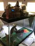 Large Aquarium Tank - Reptile Turtle Frog Lizard Snake + Lamps, Bulbs, Supplies. Fixed Price $99.99.