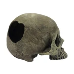 Komodo Half Human Skull Reptile Hideout Gray, 1 Each/one Size By. Fixed Price $19.68.