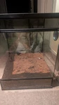 Thrive 30-GALLON Tall Reptile Tank Enclosure. Fixed Price $80.50.