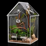 "cycodo 5""X5""X8"" Acrylic Jumping Spider & Insect Terrarium Enclosure". Fixed Price $41.76.