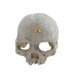 Emours Reptile Hideout Skull Vivarium Aquarium Fish Tank Resin Zzzz-s, Beige. Fixed Price $19.78.
