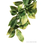 Exo Terra Plastic Mandarin Plant. Fixed Price $14.69.