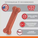 Nylabone Power Dog Bones For Aggressive Chewers Tough Toys Cat. Fixed Price $12.13.