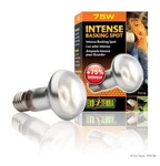 Exo Terra Intense Basking Spot 75 Watt PT-2136. Fixed Price $12.99.