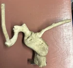 Java Wood Bird/reptile Branch Large Natural. Fixed Price $65.00.