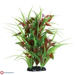 Ra Flowering Arrowhead - 12". Fixed Price $19.74.