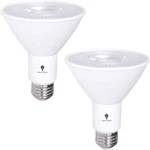 Pack PAR30 Outdoor Led Flood Light Bulb 12W 100 Watt Equivalent 900 Lumens. Fixed Price $20.33.
