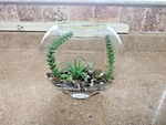 8 Glass Terrarium Bowl Artificial Succulents Home Office Decor. Fixed Price $19.90.