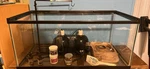 Fluker's Zoo Med Rep-cal Glass Reptile Tank With Accessories And Lighting. Fixed Price $150.00.