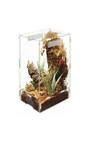 Zilla Micro Habitat Arboreal With Locking Latch, Large. Fixed Price $43.90.