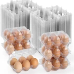 200PCS Clear Plastic Egg Cartons 6 Count,half Dozen Cheap Bulk Fo.... Fixed Price $50.10.