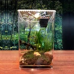 Lizard Frog Pet Snake Terrarium Lives Tank Acrylic Clear Reptile Enclosure Cage. Fixed Price $33.81.