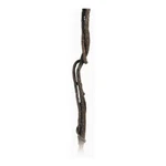 Ra Jungle Vine - Small. Fixed Price $18.74.