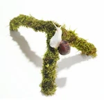 Begeterday 12 Inch Pet Snail Climbing Toys, Ideal Terrarium Accessories.... Fixed Price $14.28.
