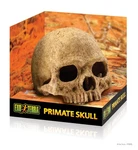 Exo Terra Primate Skull. Fixed Price $26.99.