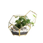 Ncyp 6.89 X 5.9 Inches Glass Geometric Terrarium Planter With Door And.... Fixed Price $40.46.