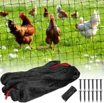 Nylon Bird Netting 50'X50' With 2.4" Square Mesh Hawk For Chicken Run. Fixed Price $38.70.