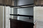 Exo Glass Terrarium 36X18X18 Reptile & Amphibian Habitat Lamps. Fixed Price $125.00.