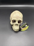 Komodo Reptile Fish Tank Decoration Human Skull. Fixed Price $16.99.