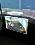 Aquarium Corner Hole Cave Underground Viewing Hide Fish Tank Decor. Fixed Price $29.99.