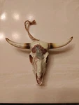 Aquarium Medium Decoration Longhorn Skull Suitable For All Reptile Tanks. Fixed Price $8.60.