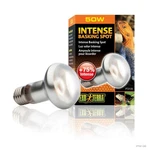 Exo Terra Intense Basking Spot 50 Watt PT-2135 Reptile Lizard Turtle Light. Fixed Price $7.99.