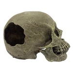 Komodo Full Human Skull Reptile Hideout Gray, 1 Each/one Size By. Fixed Price $19.68.