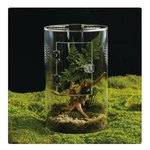 Acrylic Terrarium For Reptiles & Spiders Small/medium/large Leak-proof Enclosu. Fixed Price $48.49.