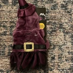 Thrills & Chills Witch Reptile Costume For Bearded Dragons. Fixed Price $16.99.