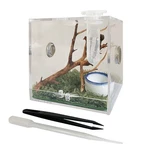 Jobede Jumping Spider Enclosure, Habitat With Dropper Clear. Fixed Price $14.69.