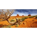 Awert Inches Reptile Habitat Background Orange Desert 48X18IN/120X45CM. Fixed Price $12.34.