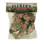 Ra Repta-vines Red Coleus 6". Fixed Price $17.85.