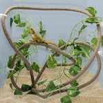 Coolrunner 8FT Reptile Vines And Flexible Leaves W/ Suction Cups Jungle. Fixed Price $24.73.