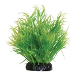 Lemon Grass - 6" (2 Pack). Fixed Price $21.88.