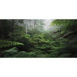 Awert Foggy Forest Terrarium Green Tree Reptile Habitat Background.... Fixed Price $15.76.