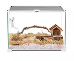 Oiibo Knock-down Glass Reptile Habitat Terrarium 360 Deg Visually 15 Gal ATL125. Fixed Price $80.49.